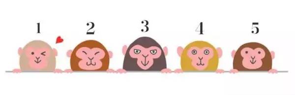 日本瘋傳：挑選一隻猴子，就能深入你內心的個性解析